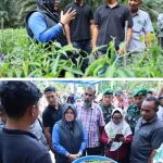 1000948067_11zon (1)